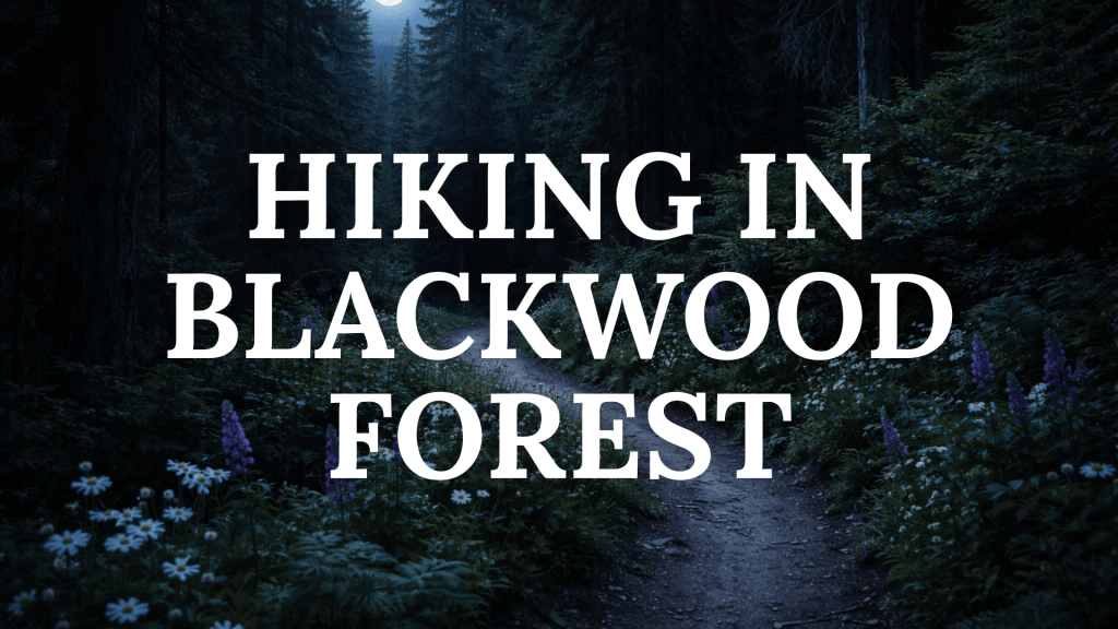 Blackwood Forest Trail