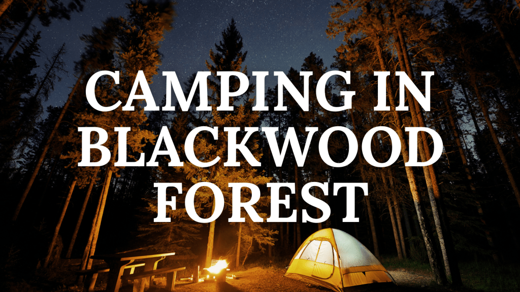 Camping in Blackwood Forest