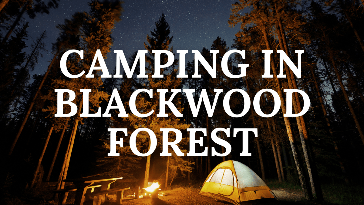 Camping in Blackwood&nbsp;Forest