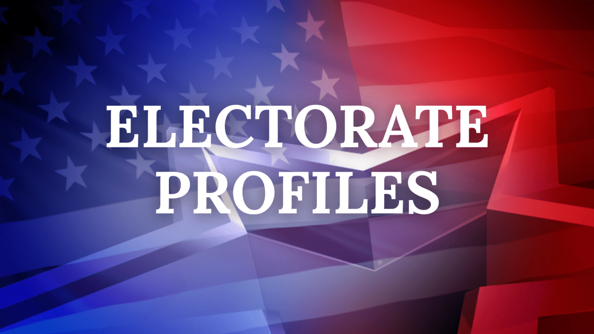 A Look at the Emerson Valley&nbsp;Electorate